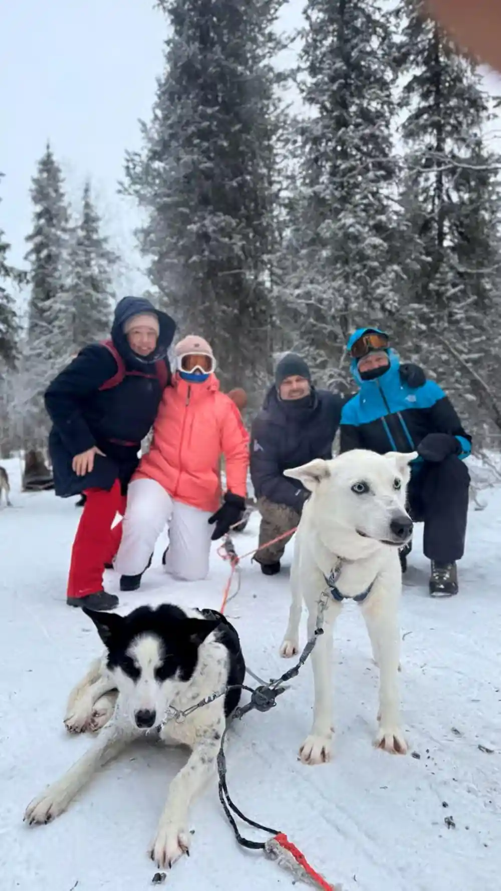 Group of visitors kneeling with huskies on packed snow