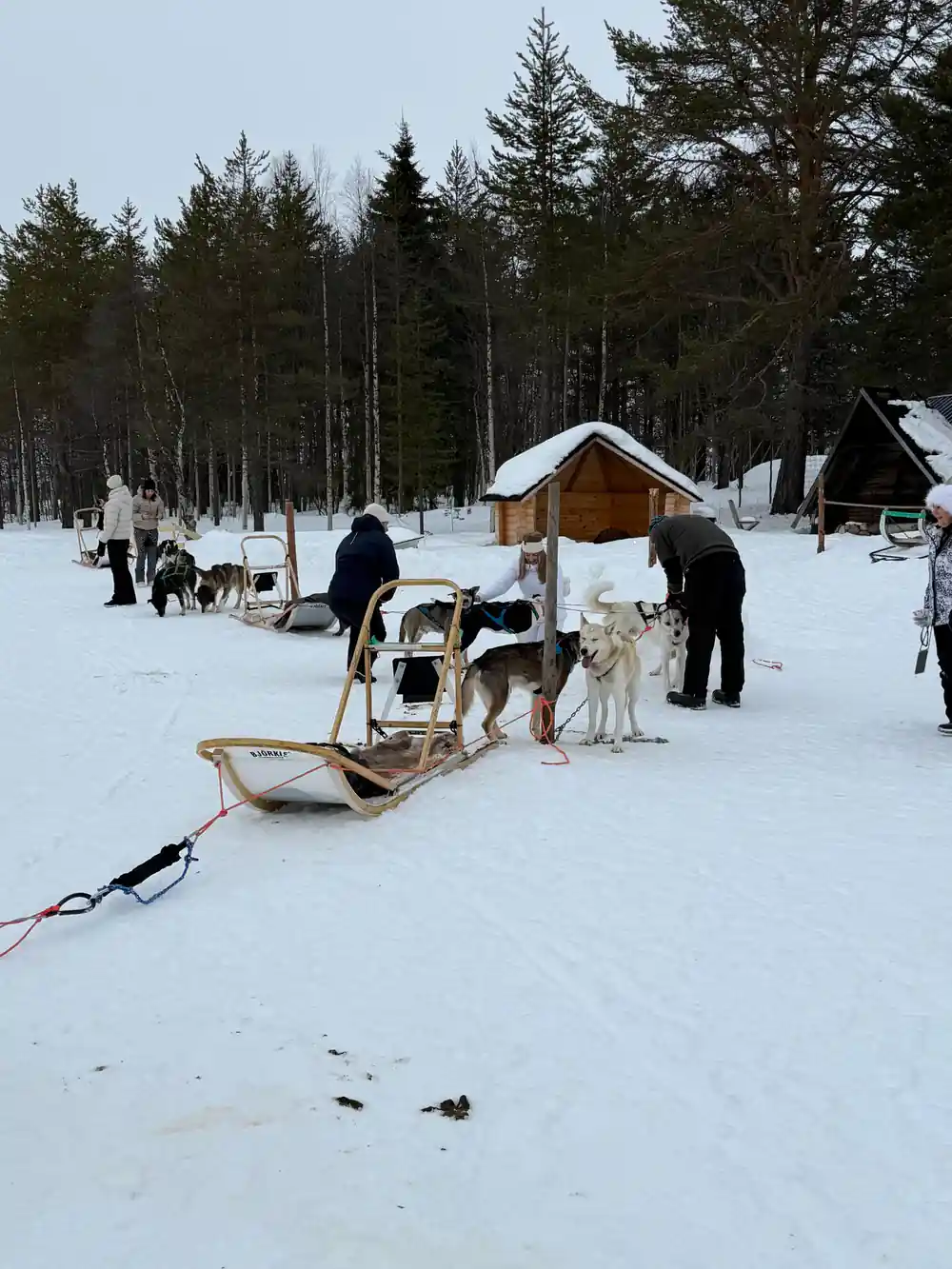 Sleds, dogs and visitors gathered outside the timber hut at the base