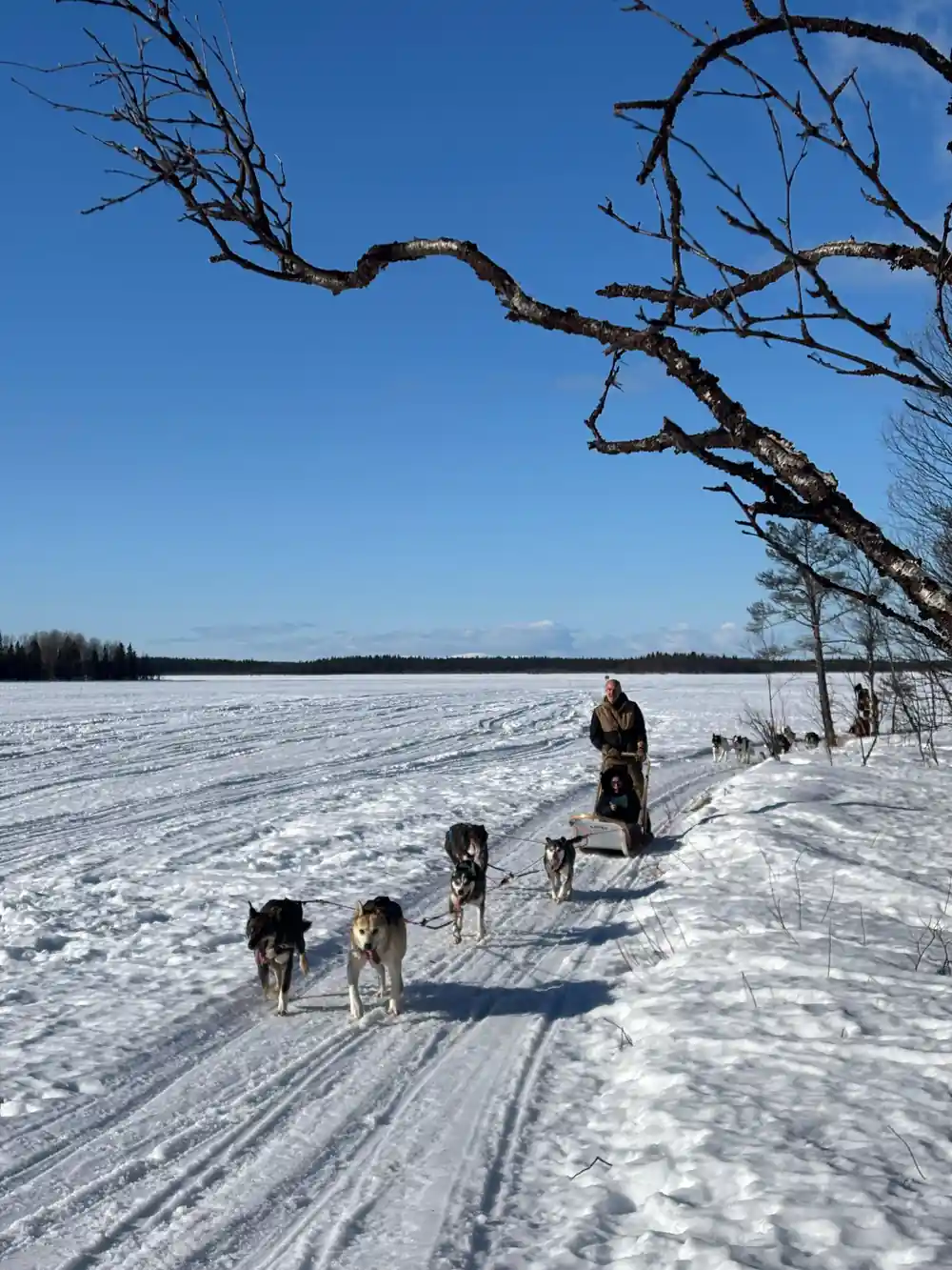 Team running out across the open frozen lake with a figure ahead