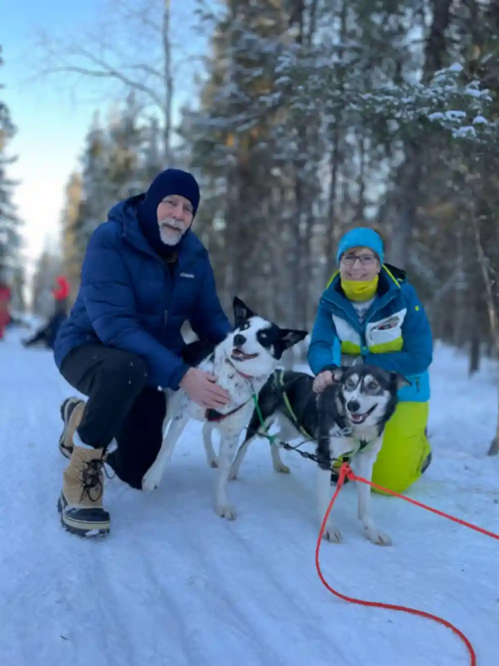 Two visitors kneeling on the trail with a pair of harnessed dogs