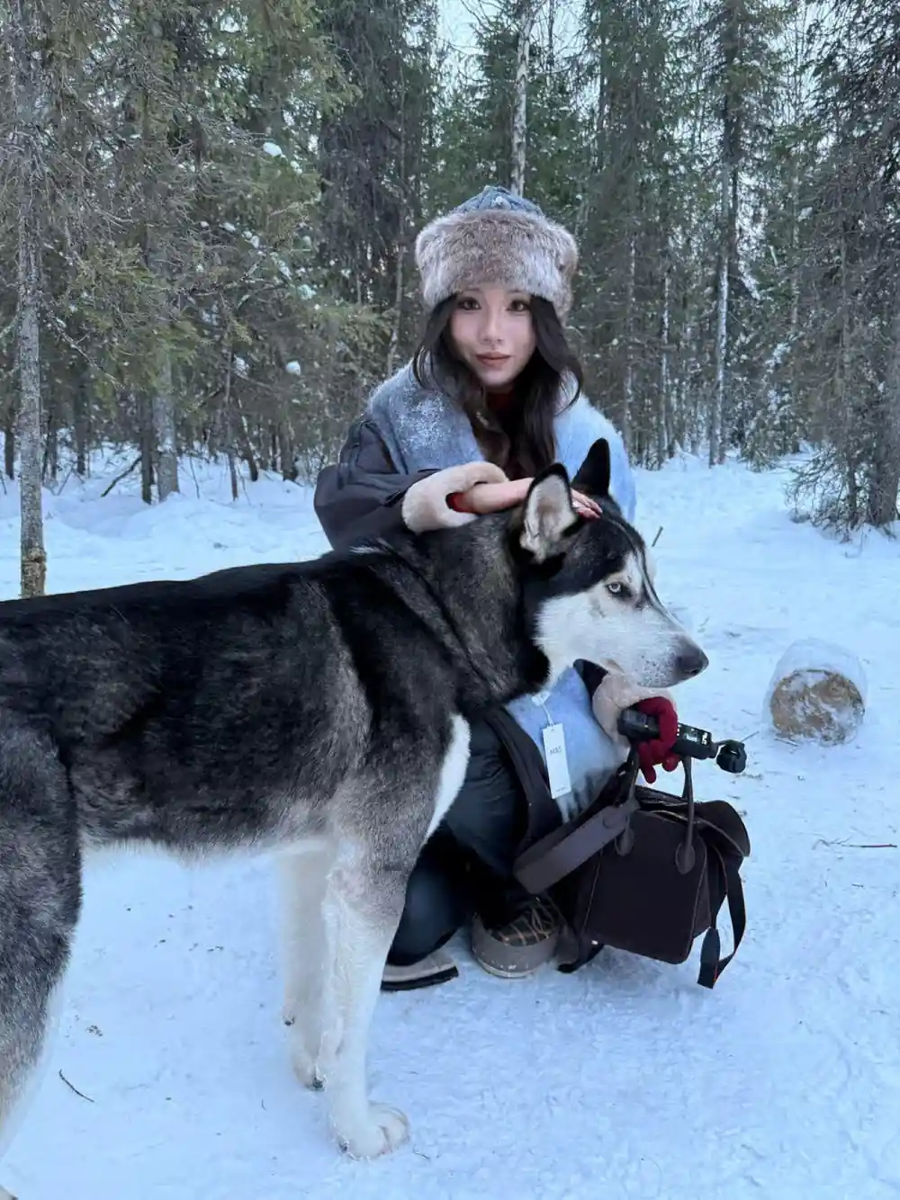 Visitor in a fur hat kneeling beside a husky in snowy forest