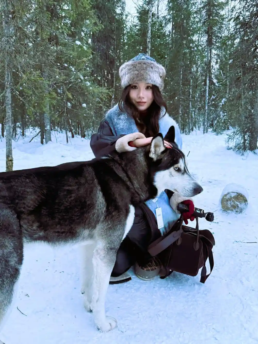 Visitor in a fur hat reaching out to a dark husky in forest