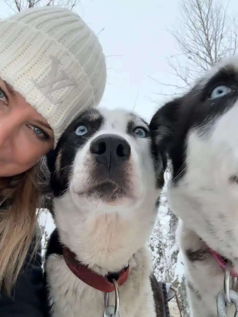 Visitor leaning in beside two huskies for a close photograph