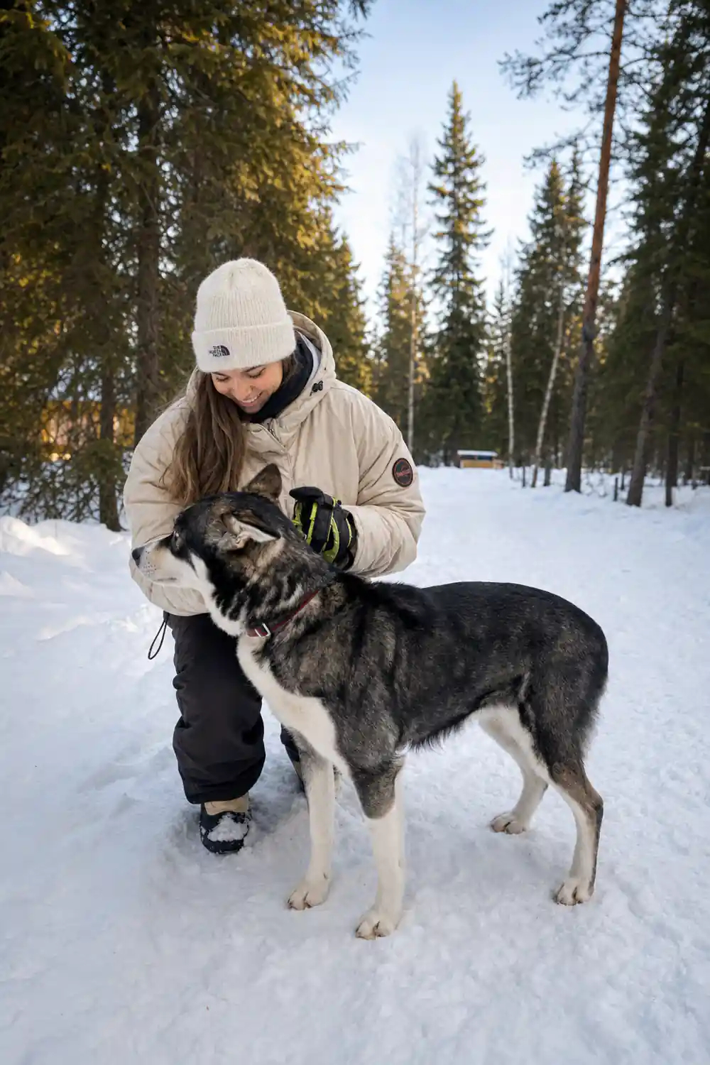 Visitor in a pale coat greeting a standing husky on the trail
